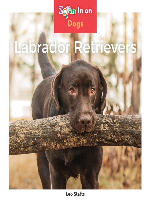 Leo Statts创作的Labrador Retrievers作品的详细信息 - 可供借阅